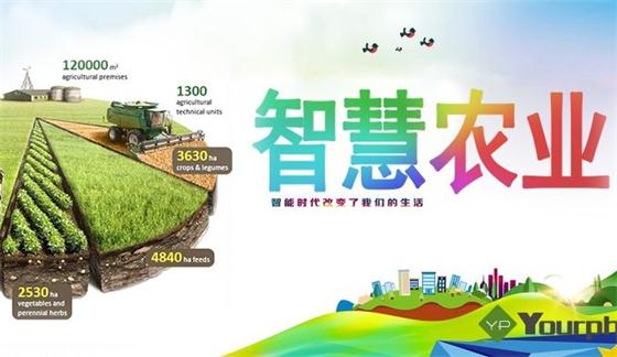 為什么智慧農業(yè)是現(xiàn)代農業(yè)的發(fā)展趨勢?