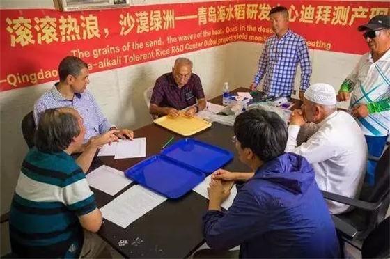 袁隆平團隊在迪拜沙漠種出水稻，這一次，中國輸出的是技術(shù)!